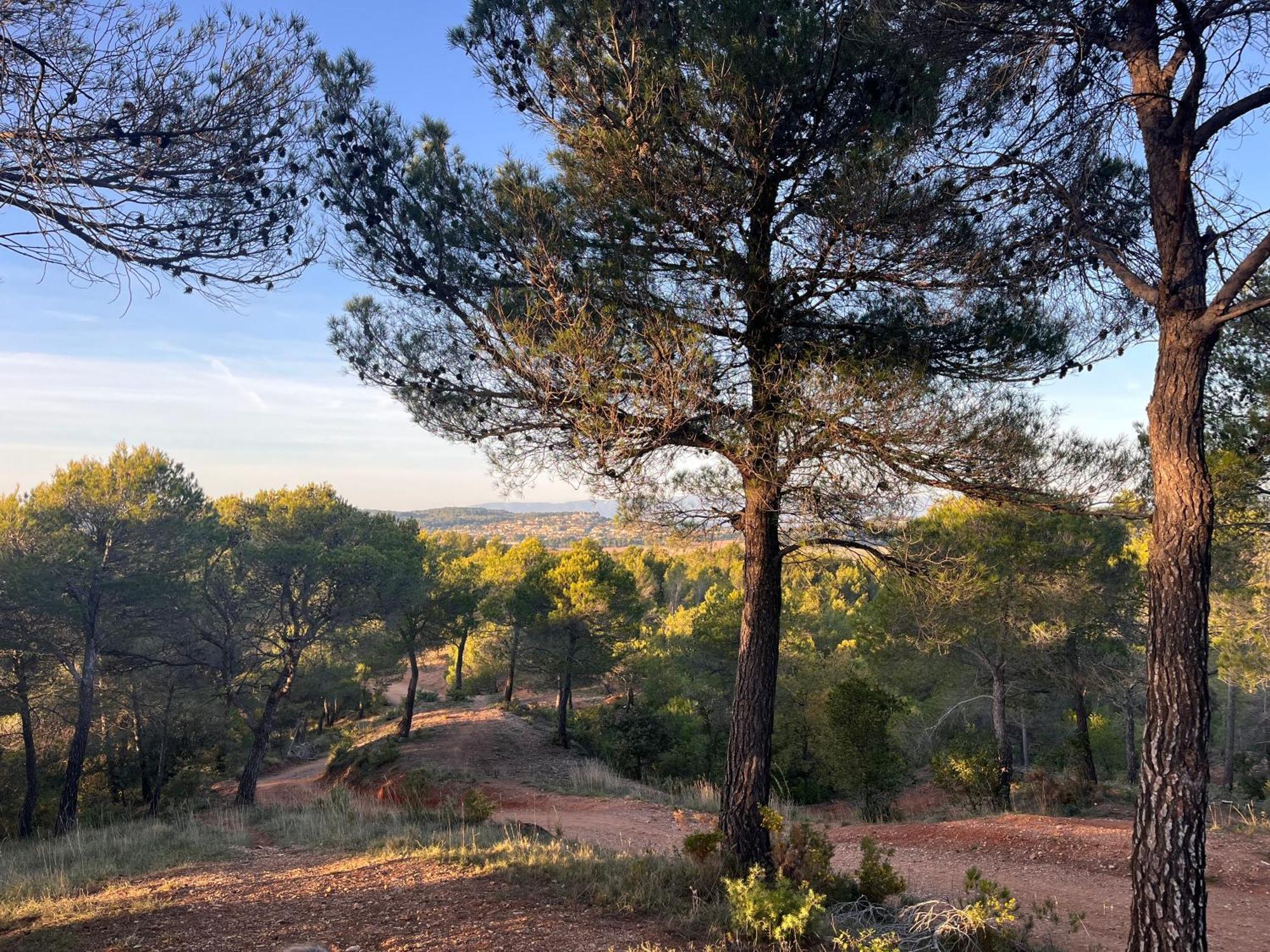 Maison Provencale Au Calme De La Campagne Avec Jacuzzi Aix-en-Provence Exterior foto
